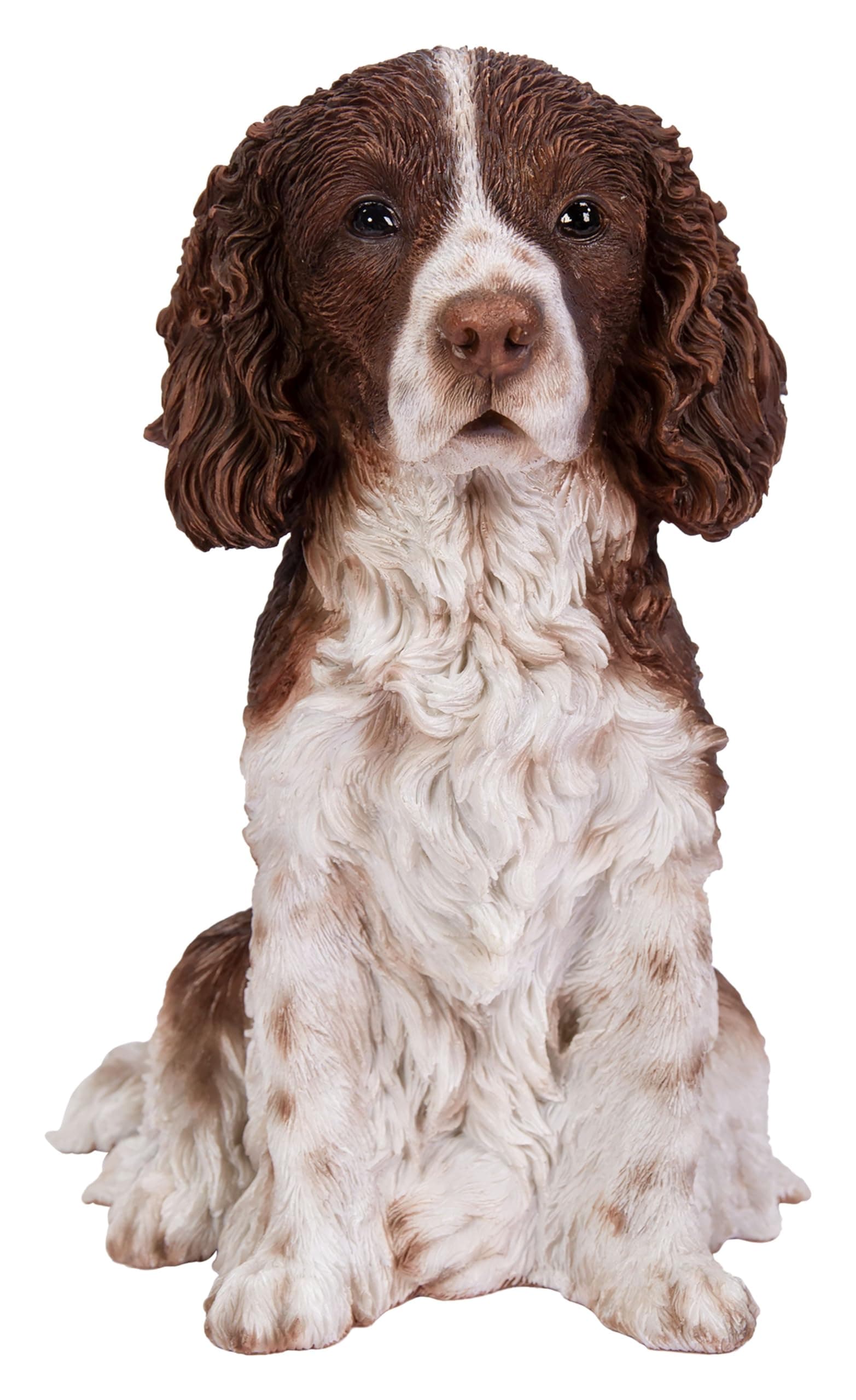 Vivid Arts - Springer Spaniel - XRL-SPSP-D