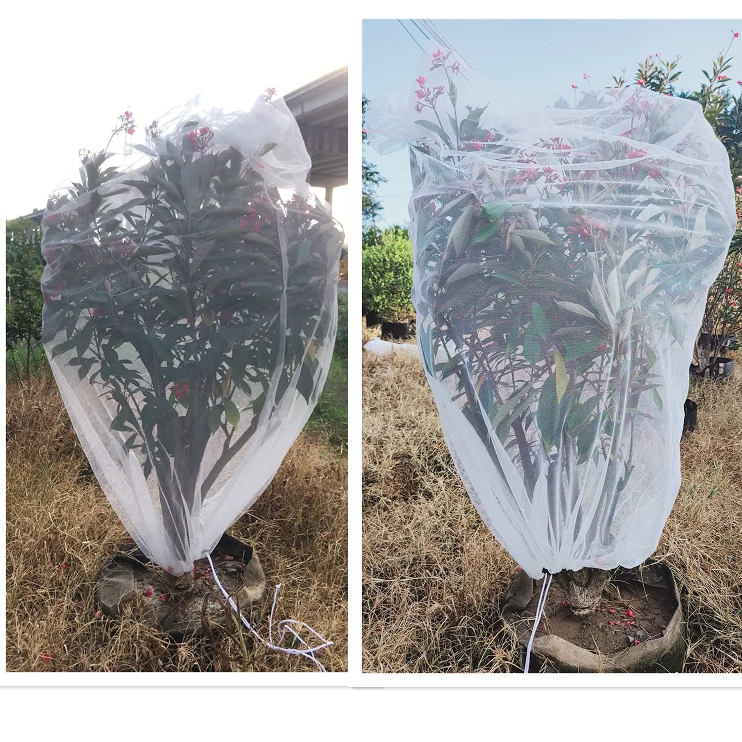 HEYANG Garden Mesh Bug Netting Plant Cover 2PCS 65X39,Drawstring Anti Bird Protection Net Insect Barrier for Plants Fruit Tree Vegetable,Lightweight Reusable Bags Cover,White,(HY-Garden-001)