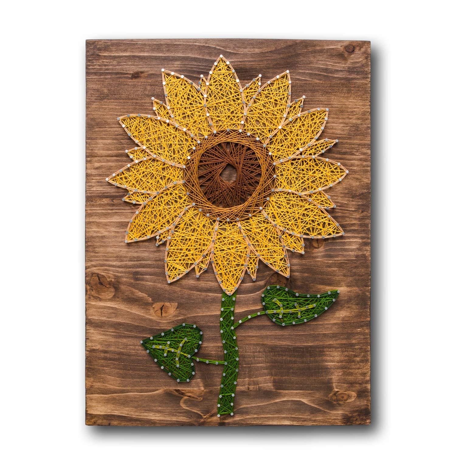 String of the Art Sunflower String Art Kit, American Made DIY Craft Kit for Adults, Stained Pine Wood (16" x 12"), Embroidery Floss, for Beginner to Advanced Crafters, Craft a Handmade Gift
