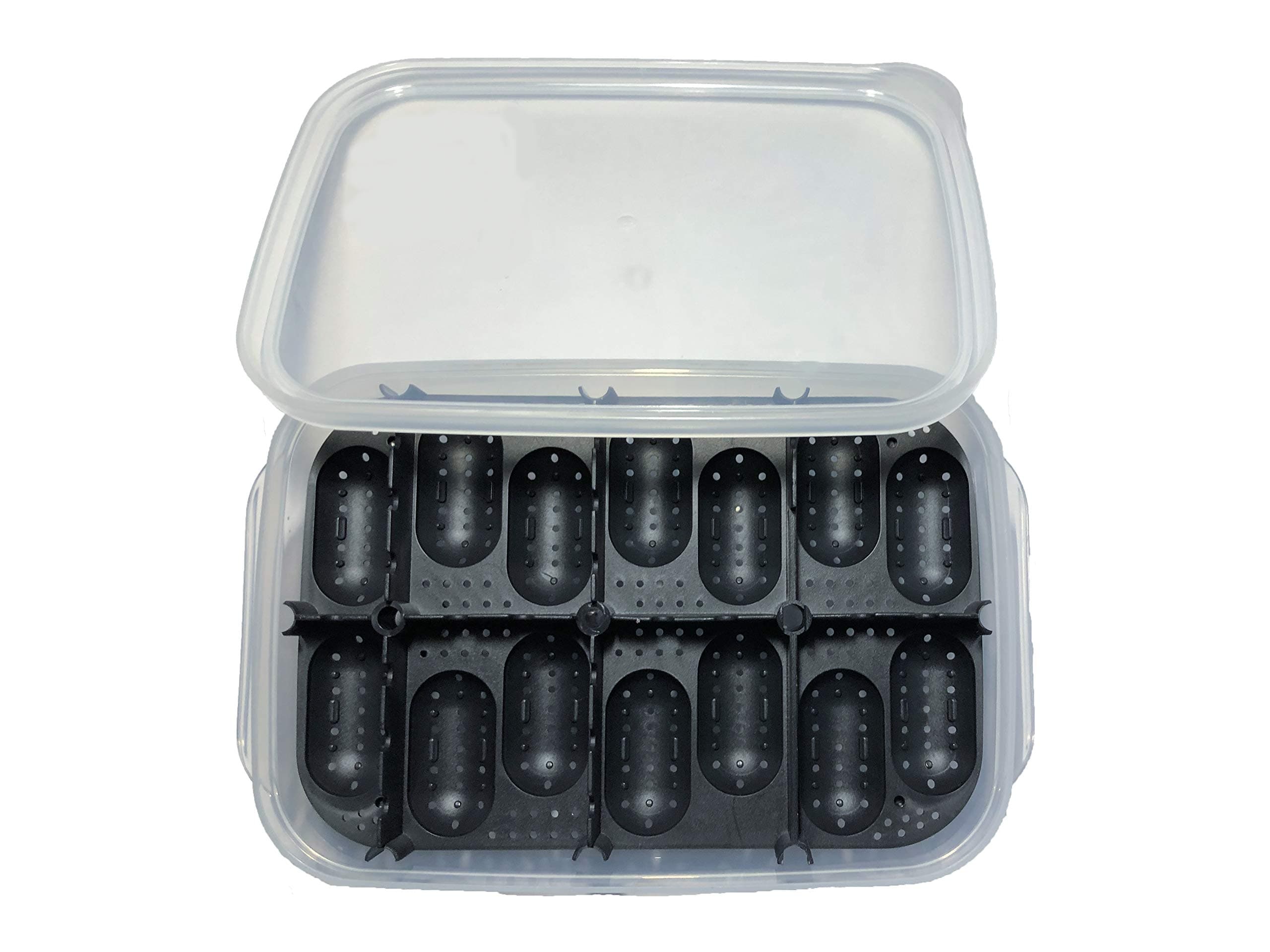 Reptile Incubators for Hatching Eggs, Hatch Dragon Eggs, Bearded Dragon Terrarium Kit, Lions Mane, Reptiles