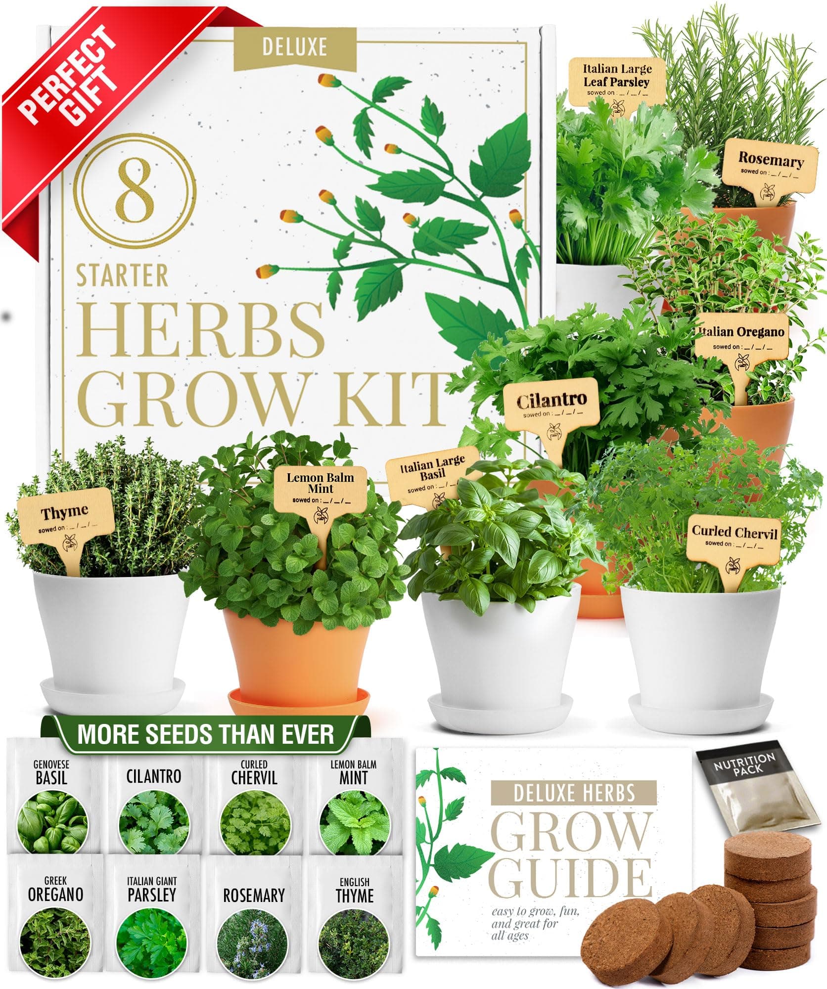 Gift Herb Kit – 8 Herb Seeds Set with Basil, Cilantro, Mint & More, Complete Indoor Grow Kit for Kitchen, Gardening Gifts for Women & Men, Ideal for Cooking & Home Décor