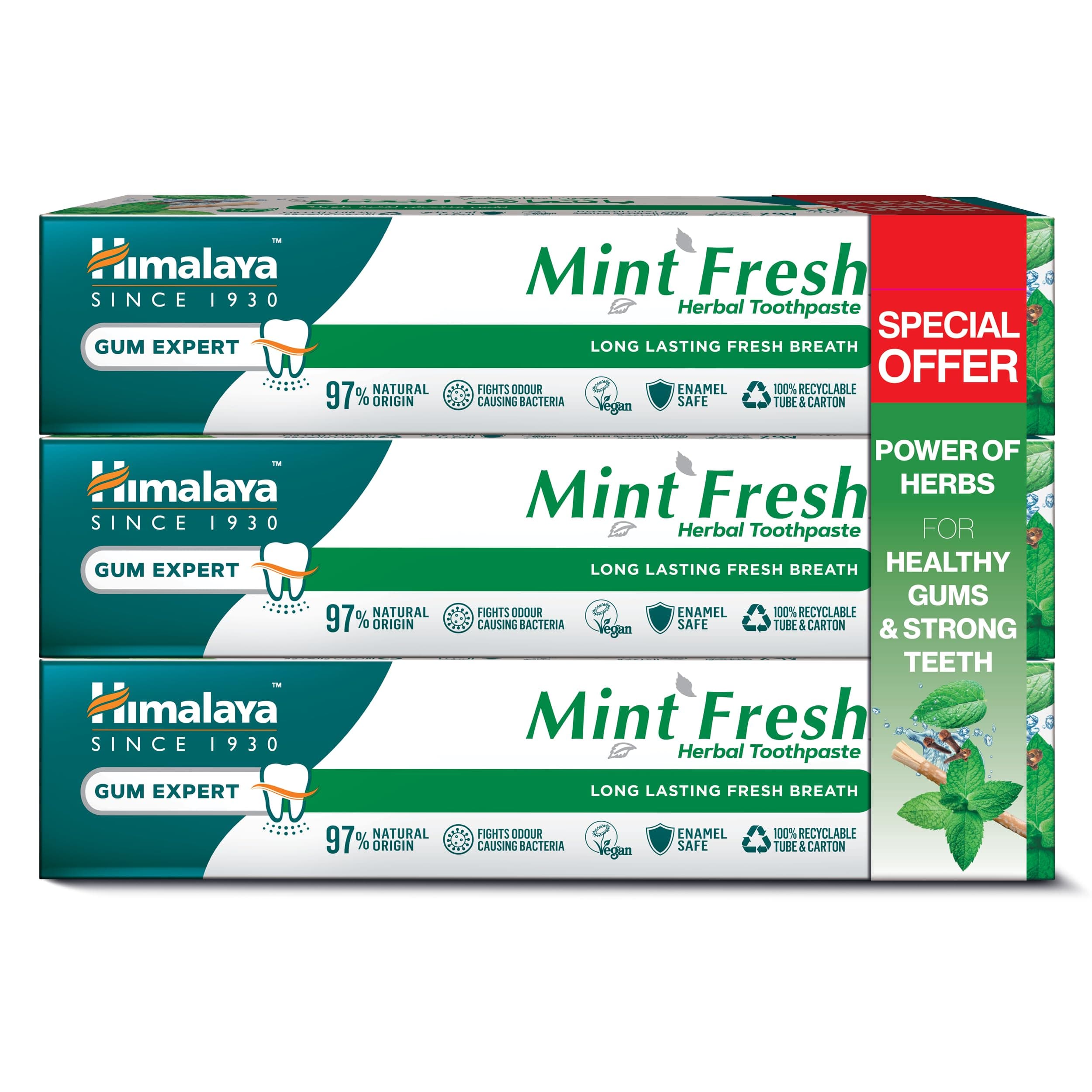 Himalaya Since 1930 Mint Fresh Herbal Toothpaste Prevent Mouth Odour & Ensure Long-Lasting Fresh Breath -3 X 100ml