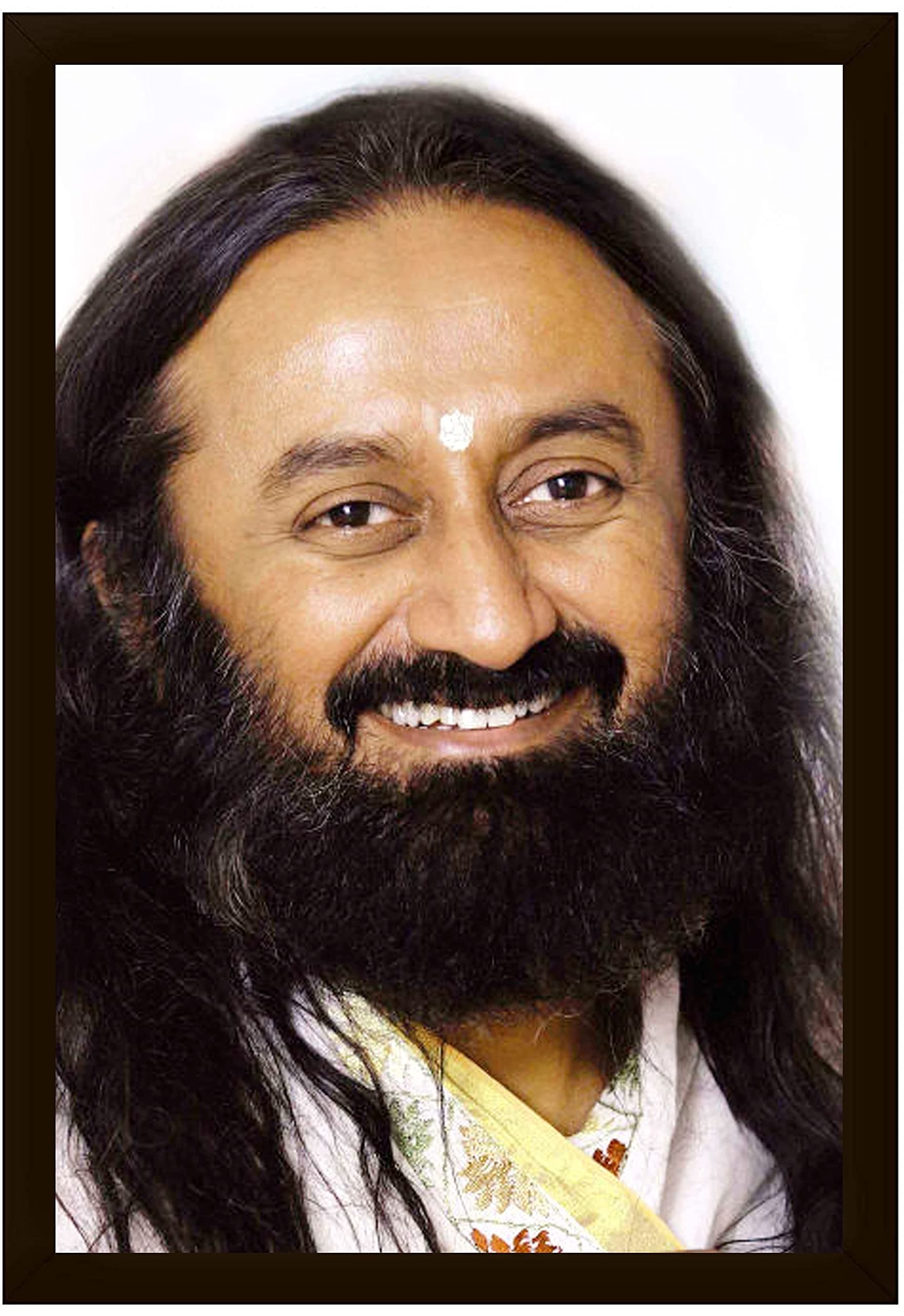 Gurudev Sri Sri Ravi Shankar Ji Photo Frame Size Medium (9.5 x 13 inch, Acrylic Glass) Vertical