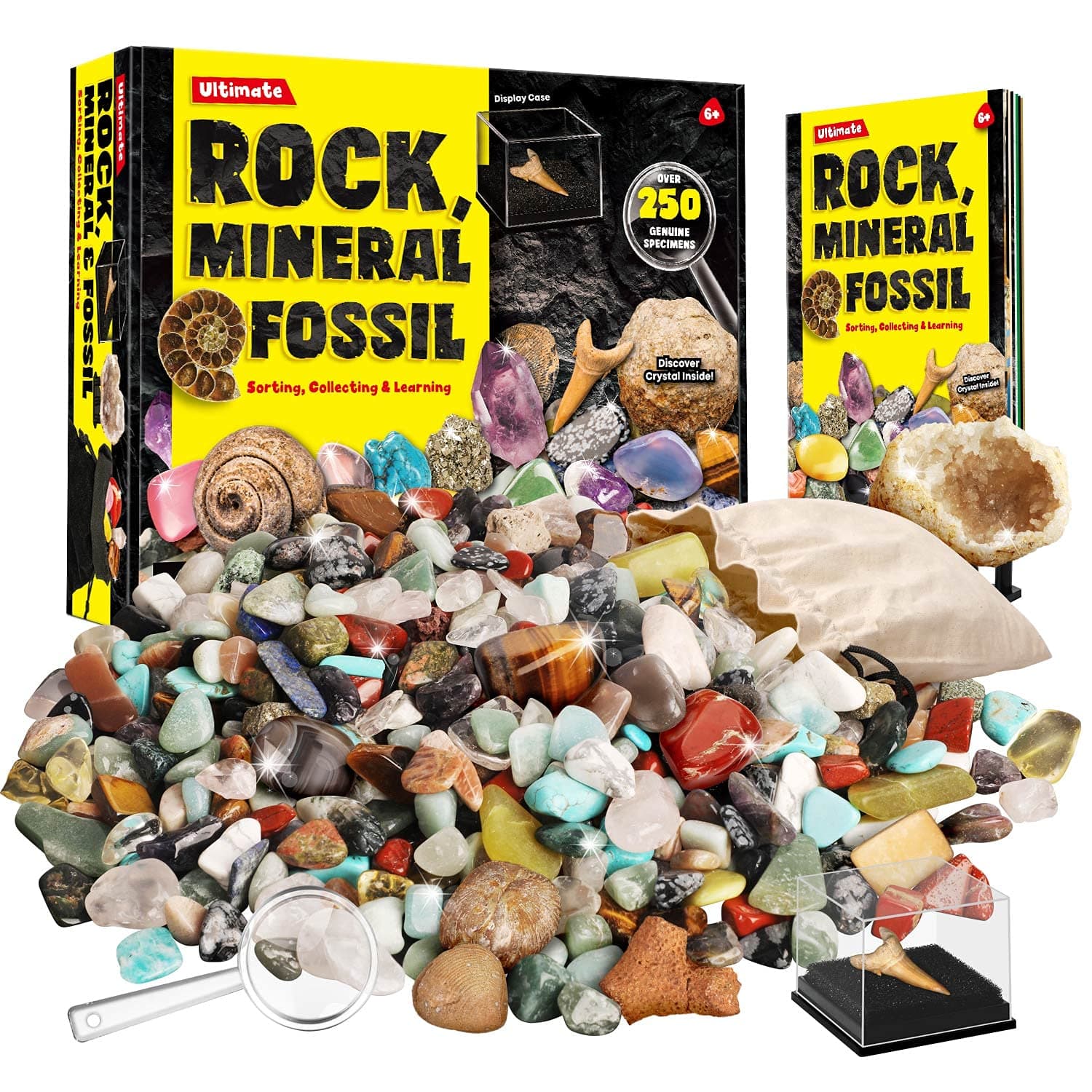 XX Rocks Minerals and Fossils Collection