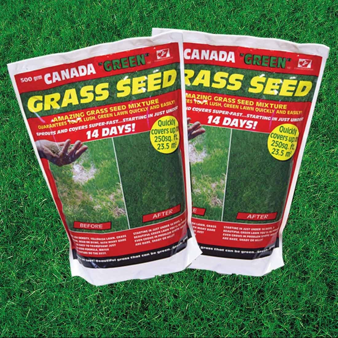 Sponsored Ad – Canada Green Two Packs of 500g Grass Seed Coverage Up To 47 Sq Metres Drought Resistant Hardwearing