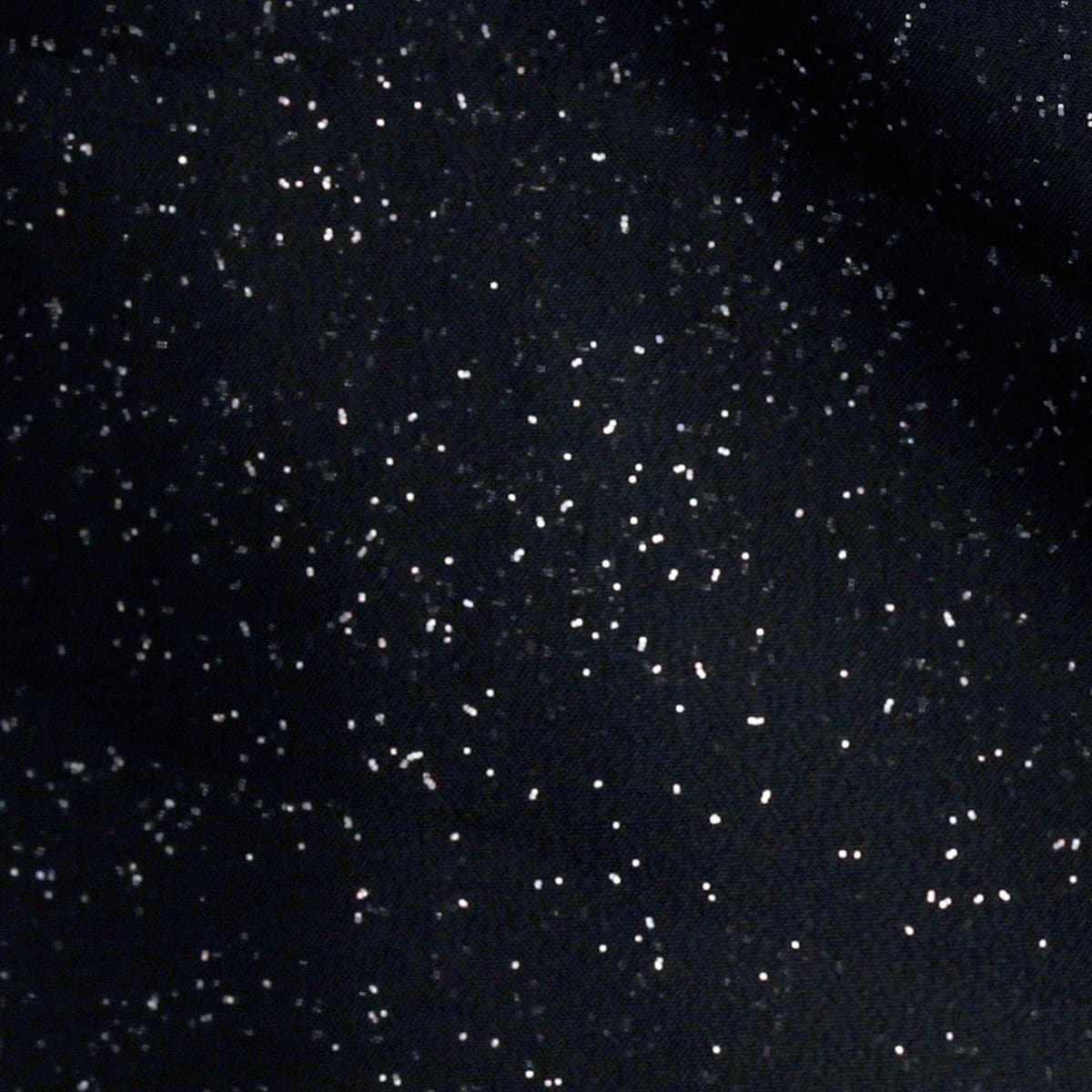 Glitter Organza Black Fabric