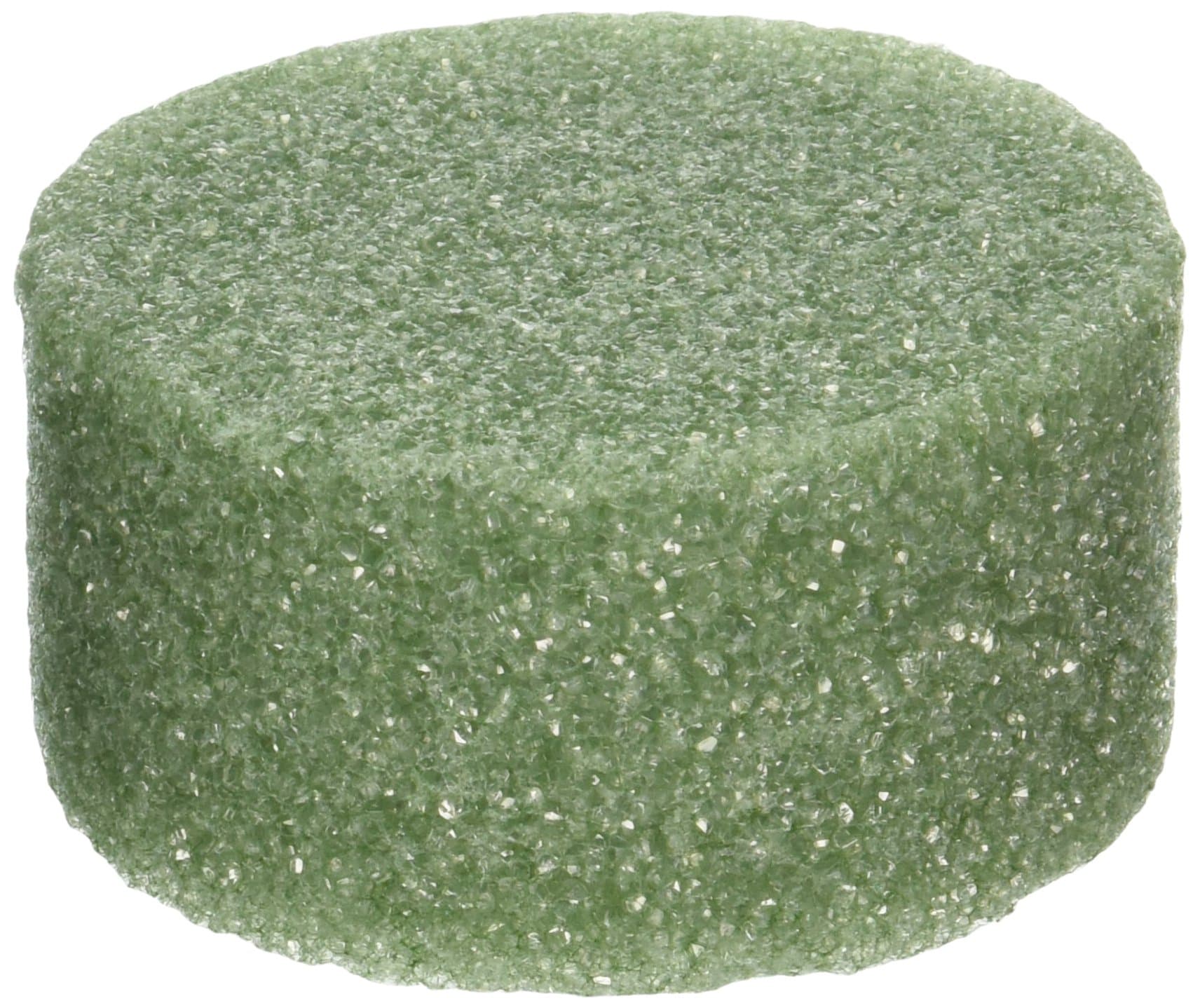 FloraCraftStyrofoam Disc Arranger, 3-7/8 by 1-15/16-Inch, Green