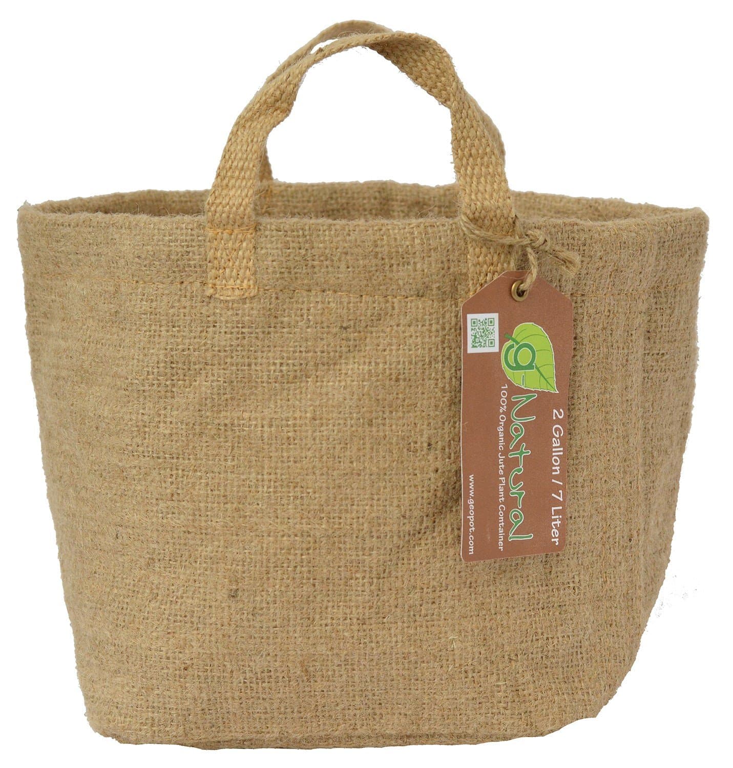 Rhizoflora - Purpinator (1Gal)