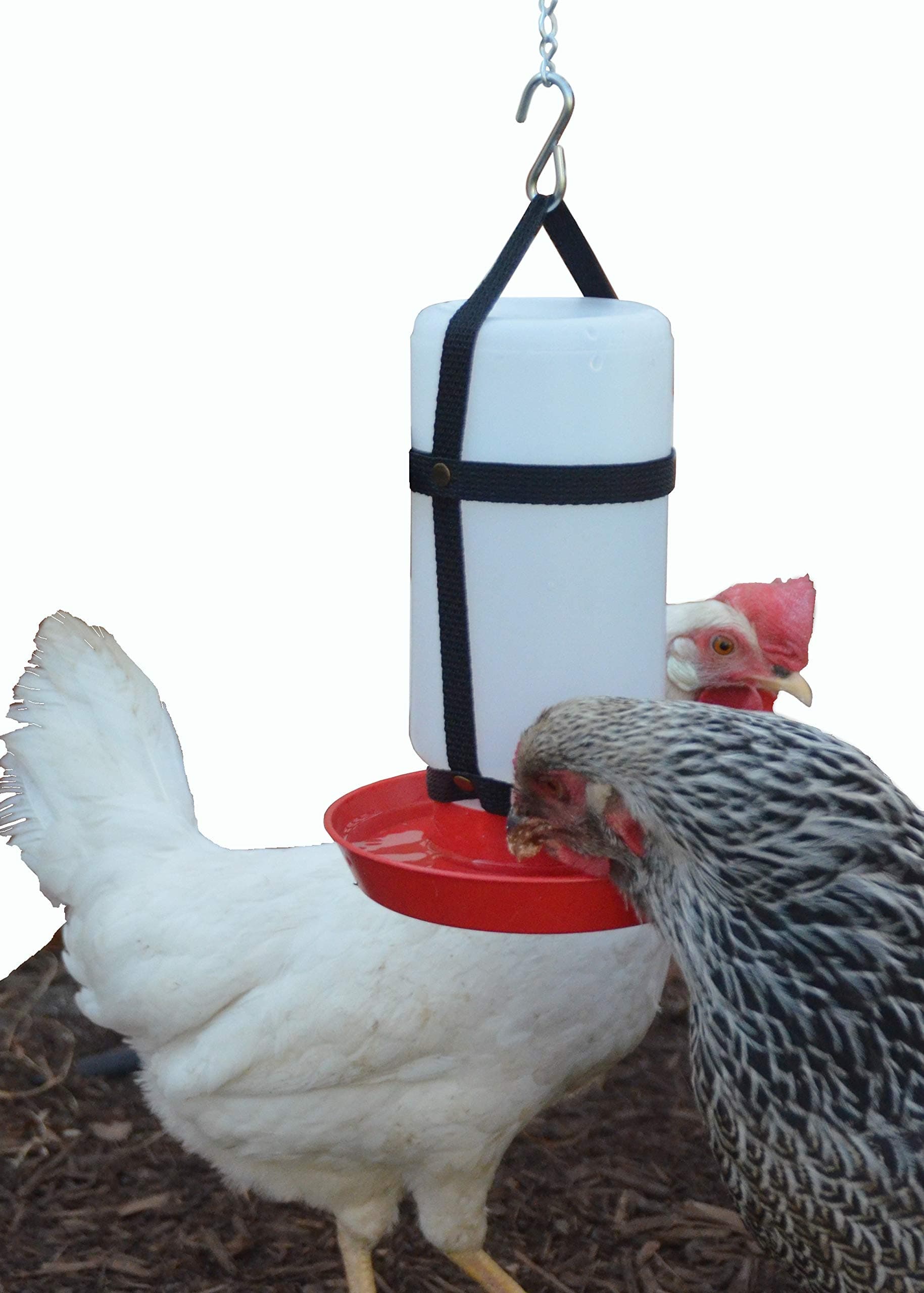 Your Happy Chicks 1 Qt. Hanging Harness with Plastic Bottle and Waterer Base