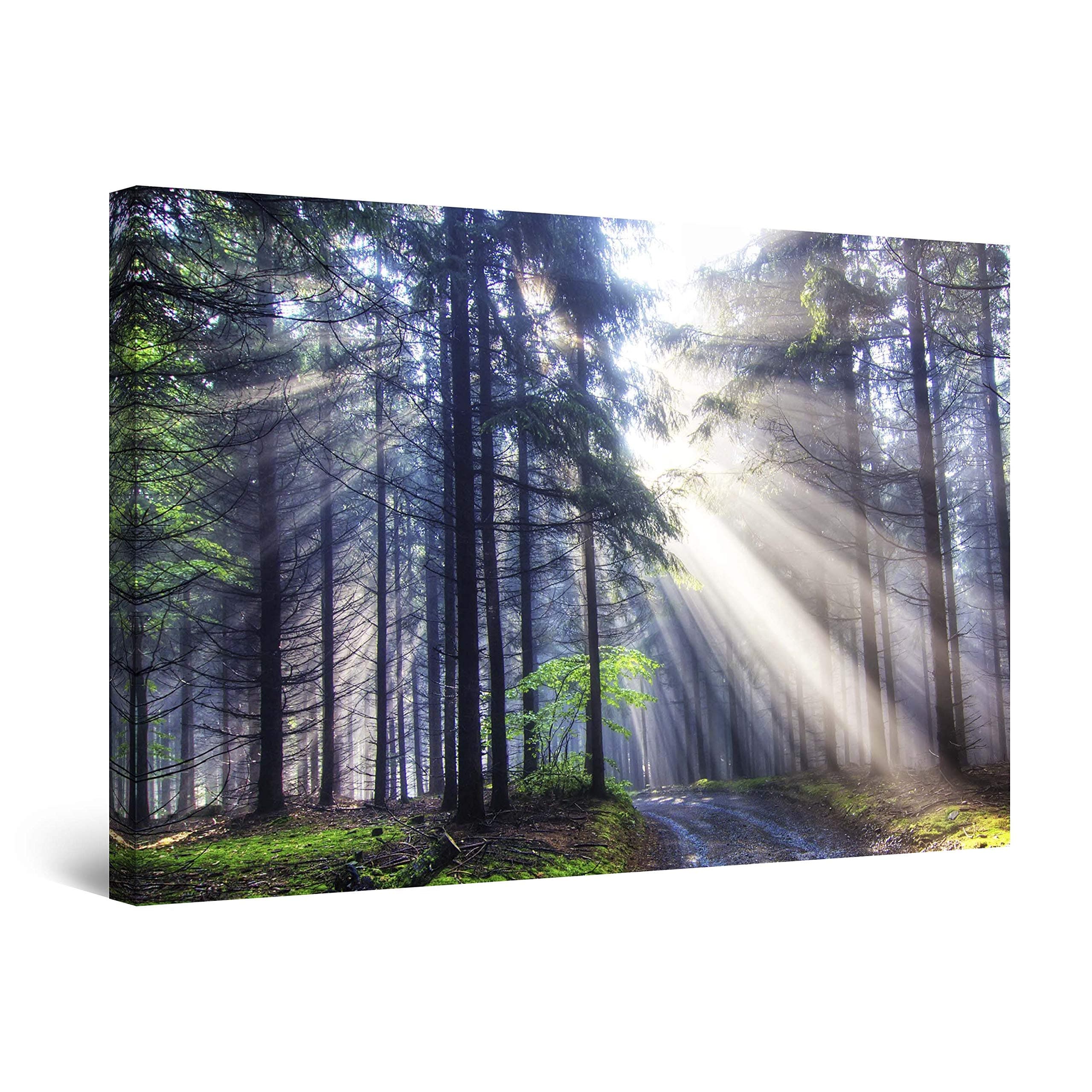 Canvas Wall Art - Light in the Forest Nature, Framed 32 x 48 Inches