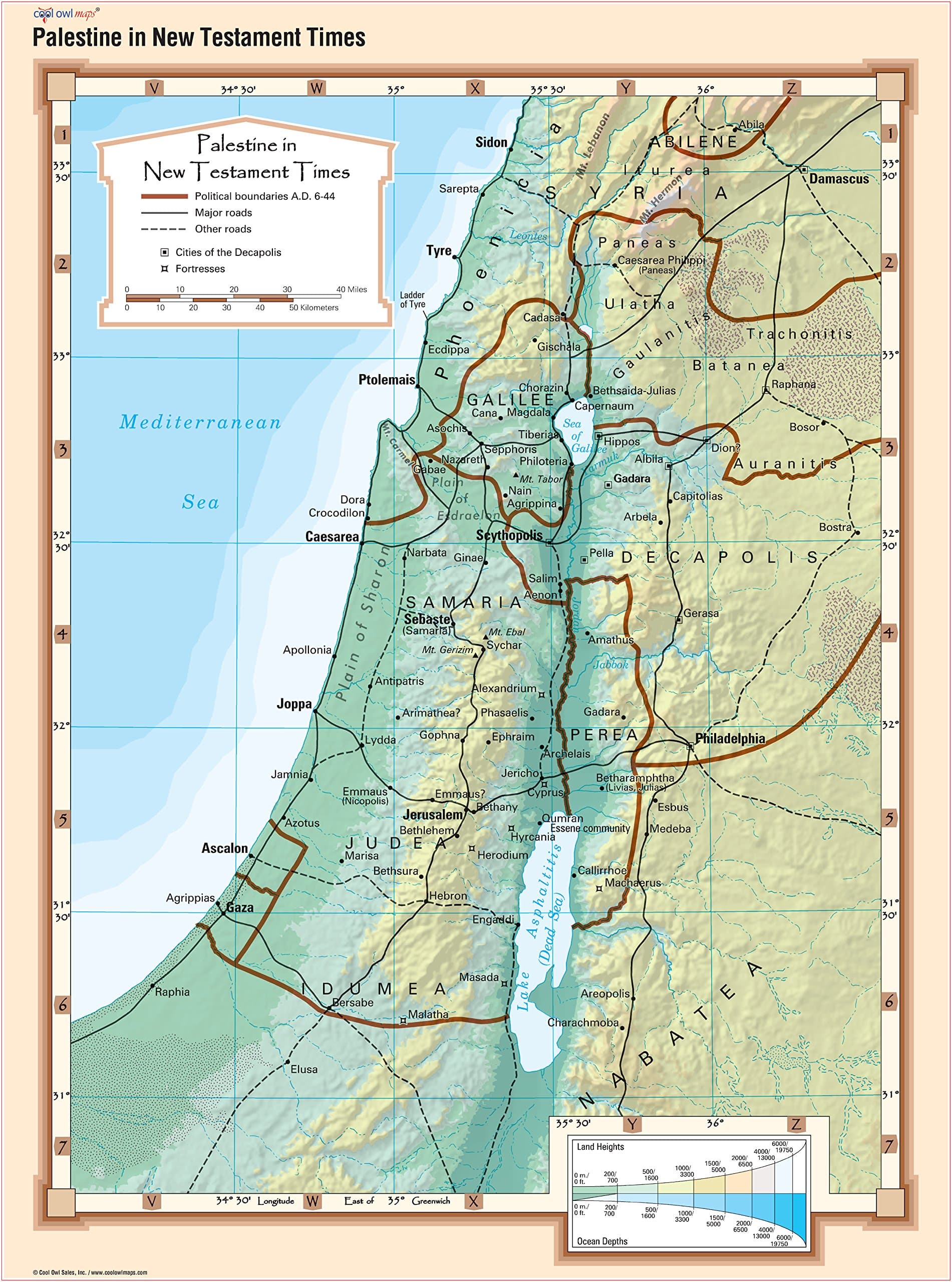 Cool Owl Maps - Palestine in New Testament Times - Wall Map Poster (24x32 Laminated)