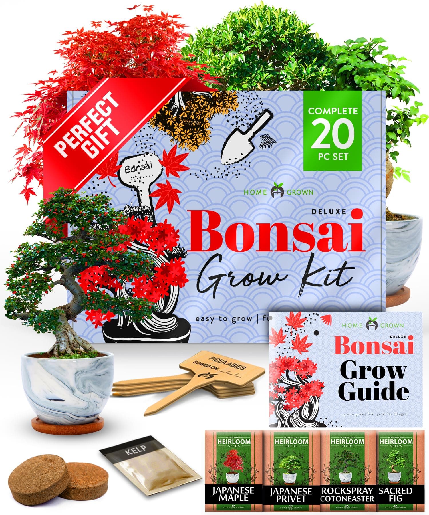 HOME GROWN Bonsai Tree Kit – Premium Ceramic Starter Set with 4 Bonsai Varieties – Easy Indoor Gardening Gift for Men & Women – Unique Plant Kit for Beginners & Nature Lovers
