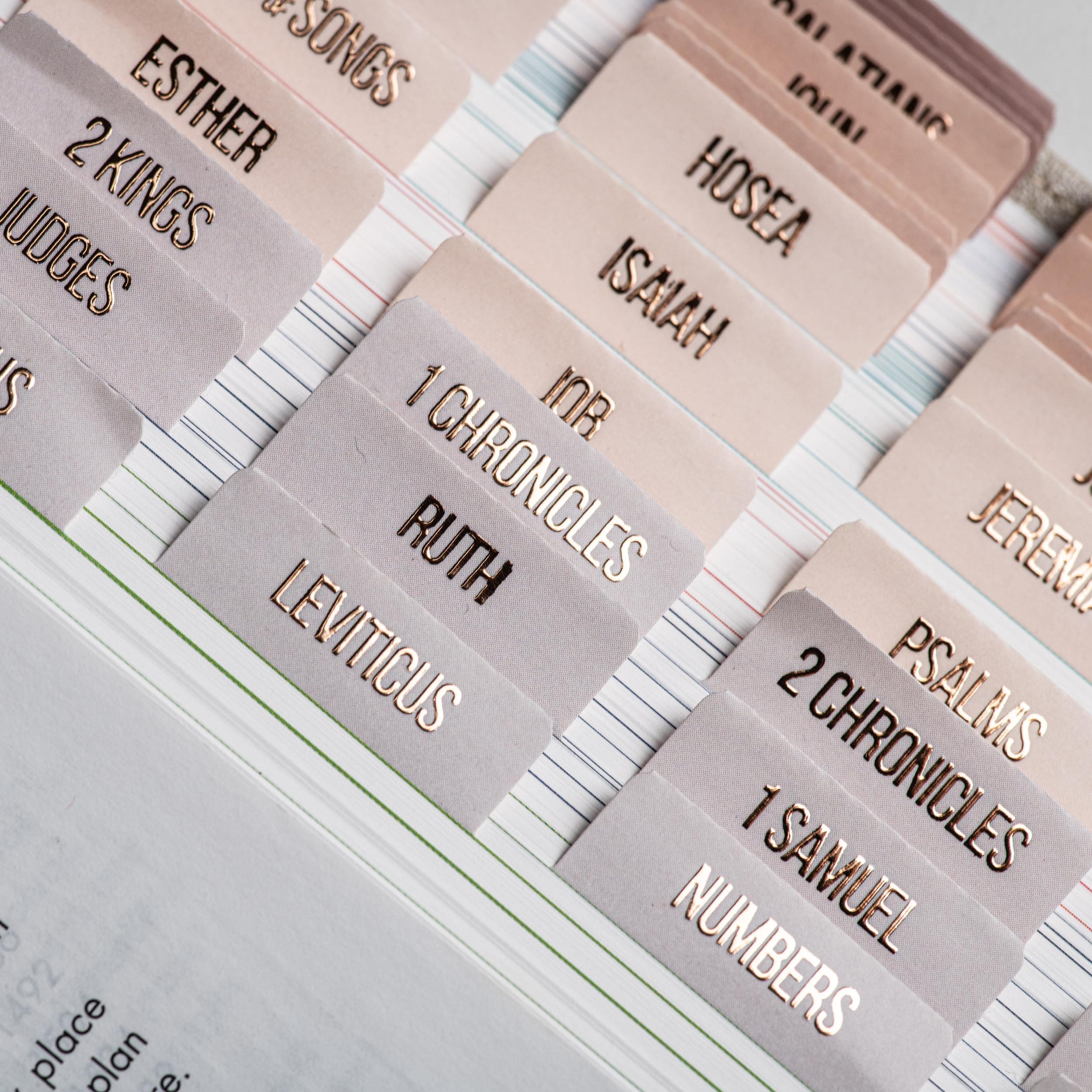 DiverseBee Laminated Bible Tabs (Rose Gold Embossed Lettering), Bible Journaling Supplies, Bible Book Tabs, Christian Gift, 66 Bible Tabs Old and New Testament, Includes 11 Blank Tabs (Pearl)