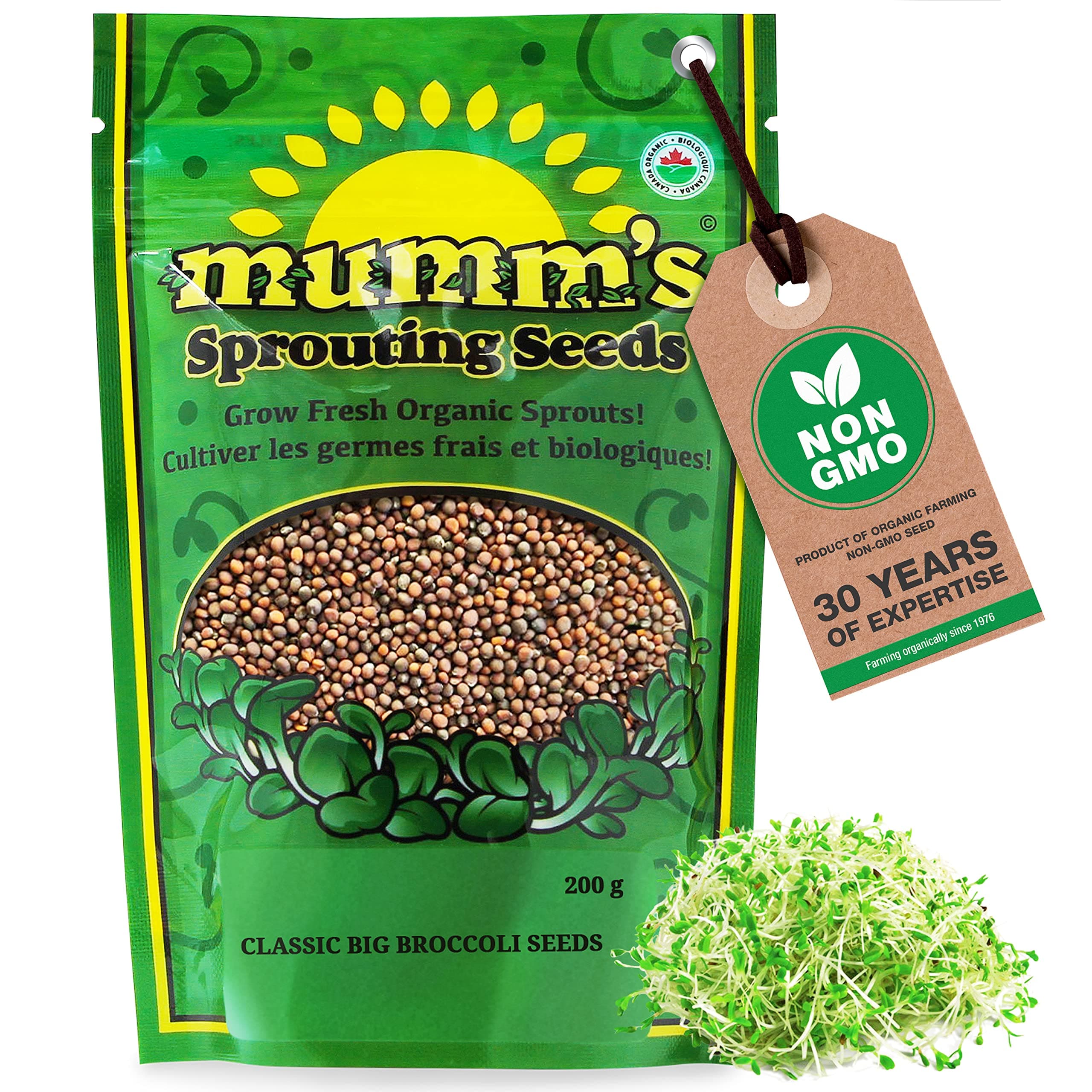 Mumm's Sprouting Seeds - Classic Big Broccoli Sprouts - 200 GR - Sprout Your Own Organic Microgreens - Easy Sprouter Kit