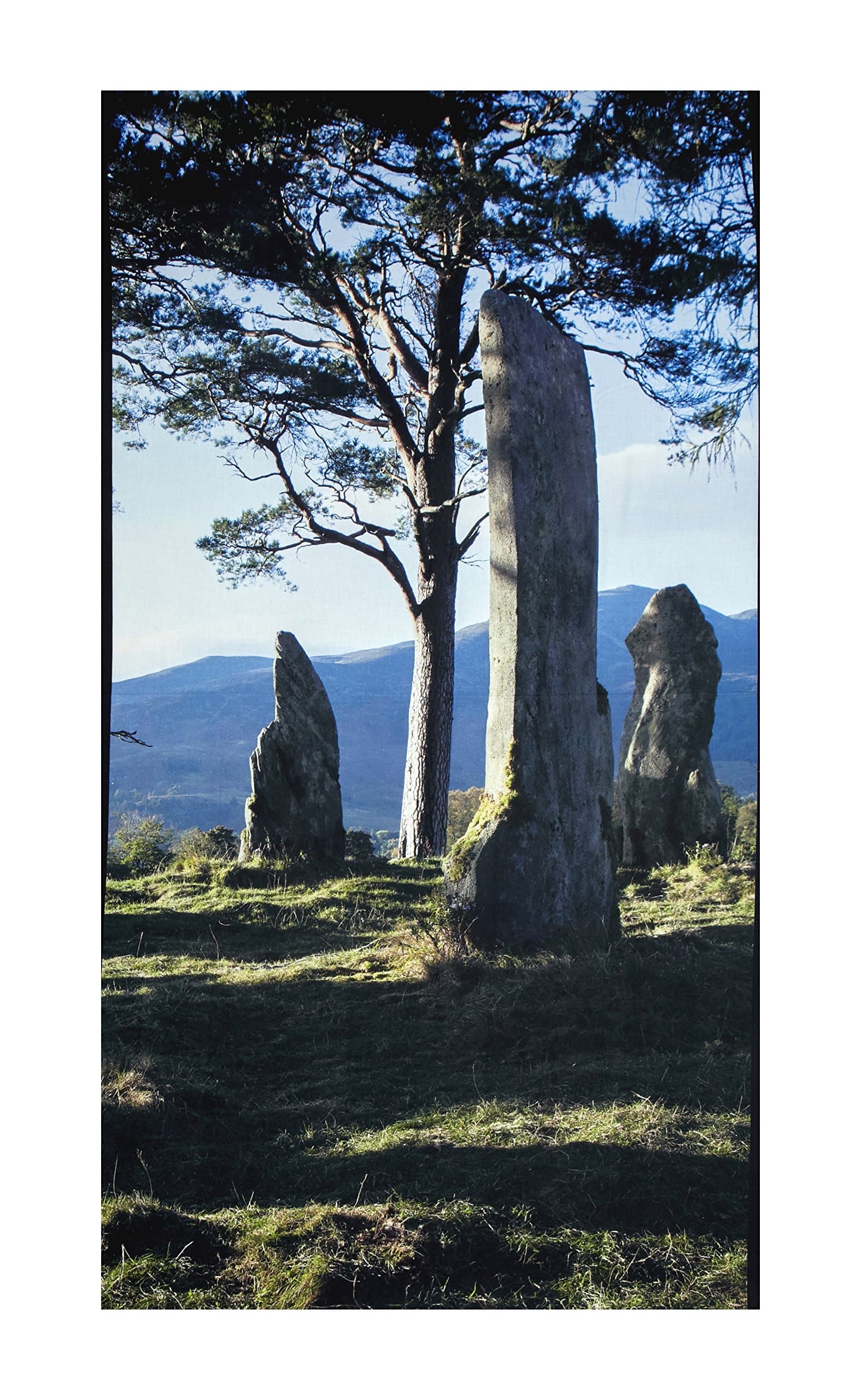 Andover Outlander Stones Digital 24.5in Panel Blue Fabric