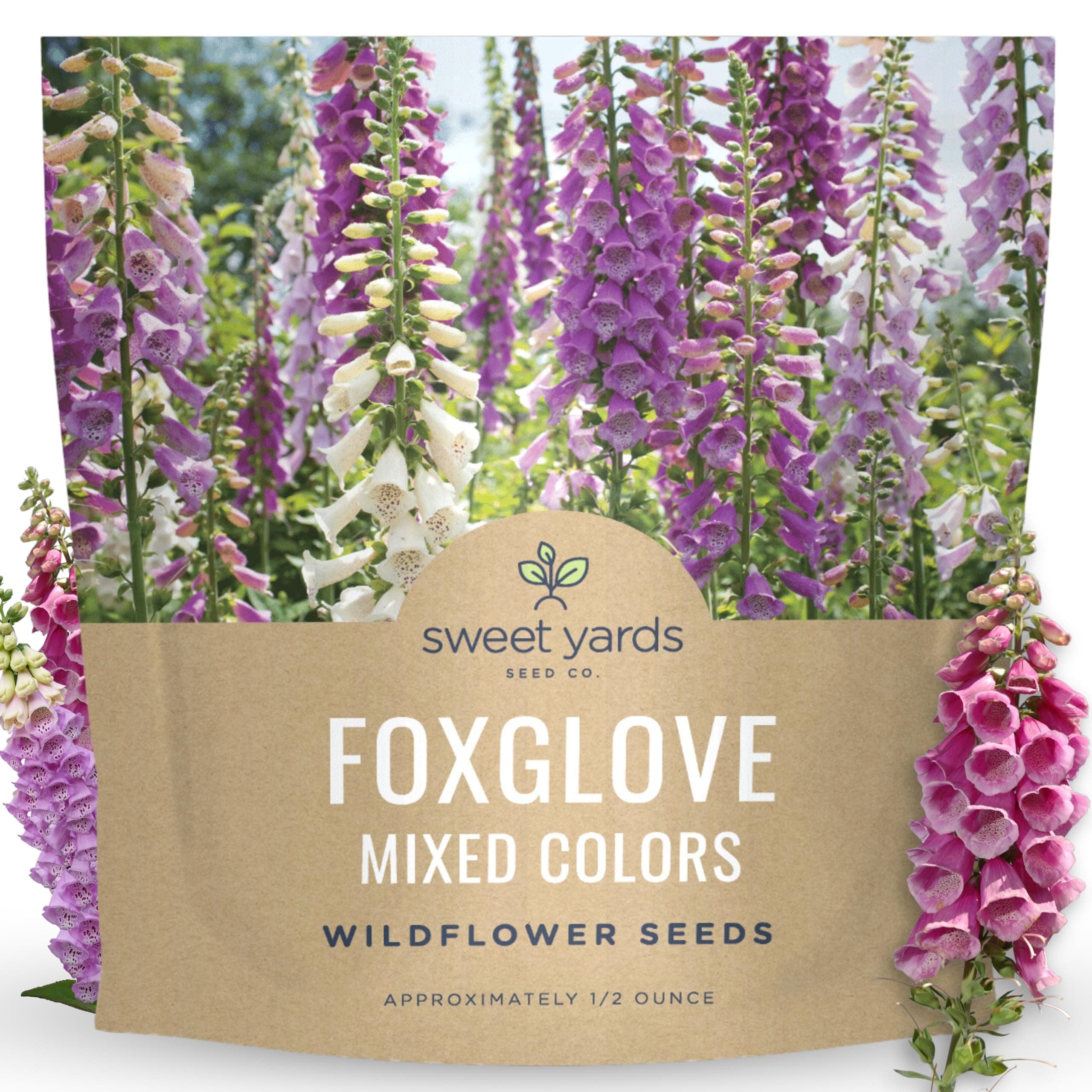 Foxglove Mixed Colors - Large 1/2 Ounce Packet - 125,000 Flower Seeds for Planting - Digitalis purpurea