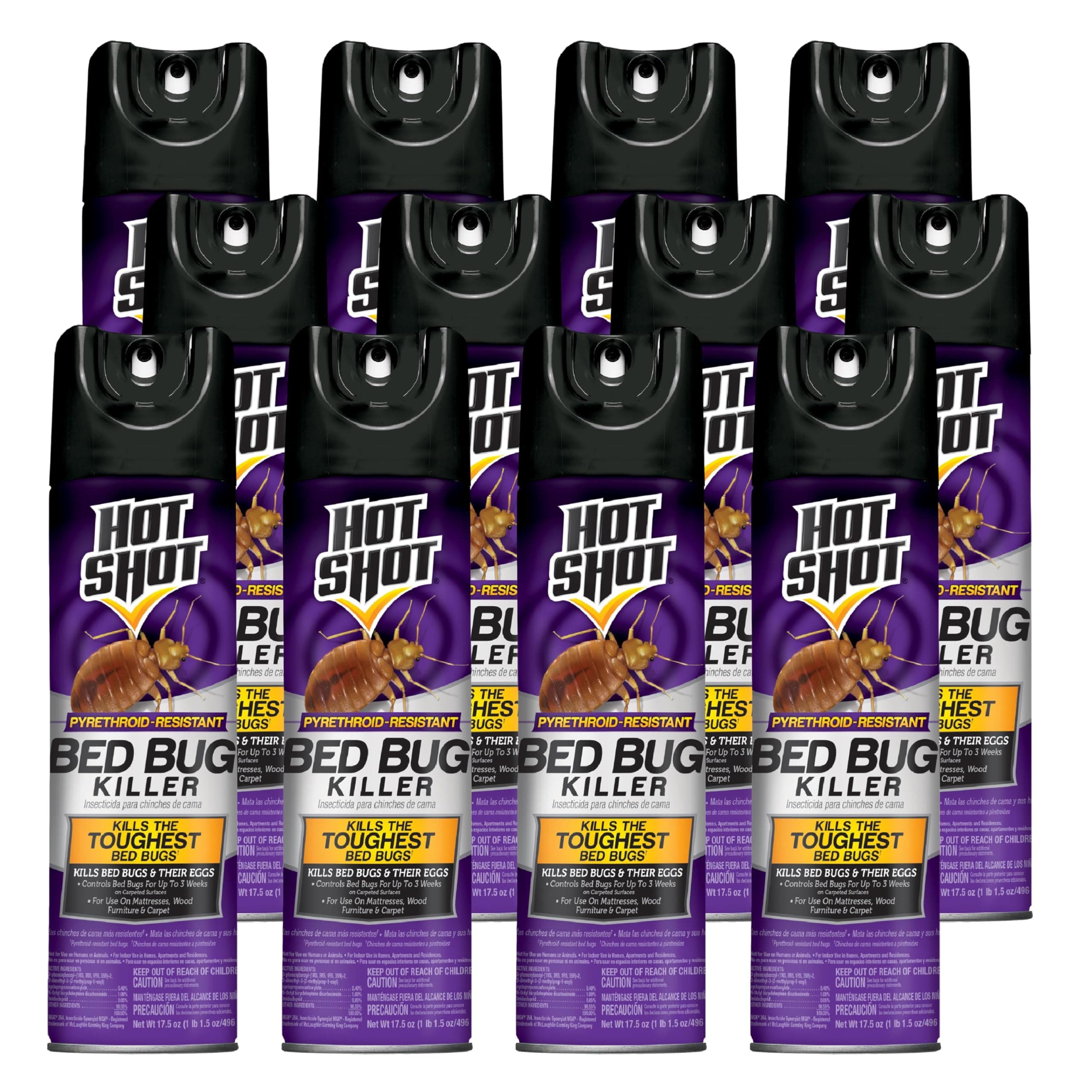Bed Bug Killer Aerosol, Case Pack of 12