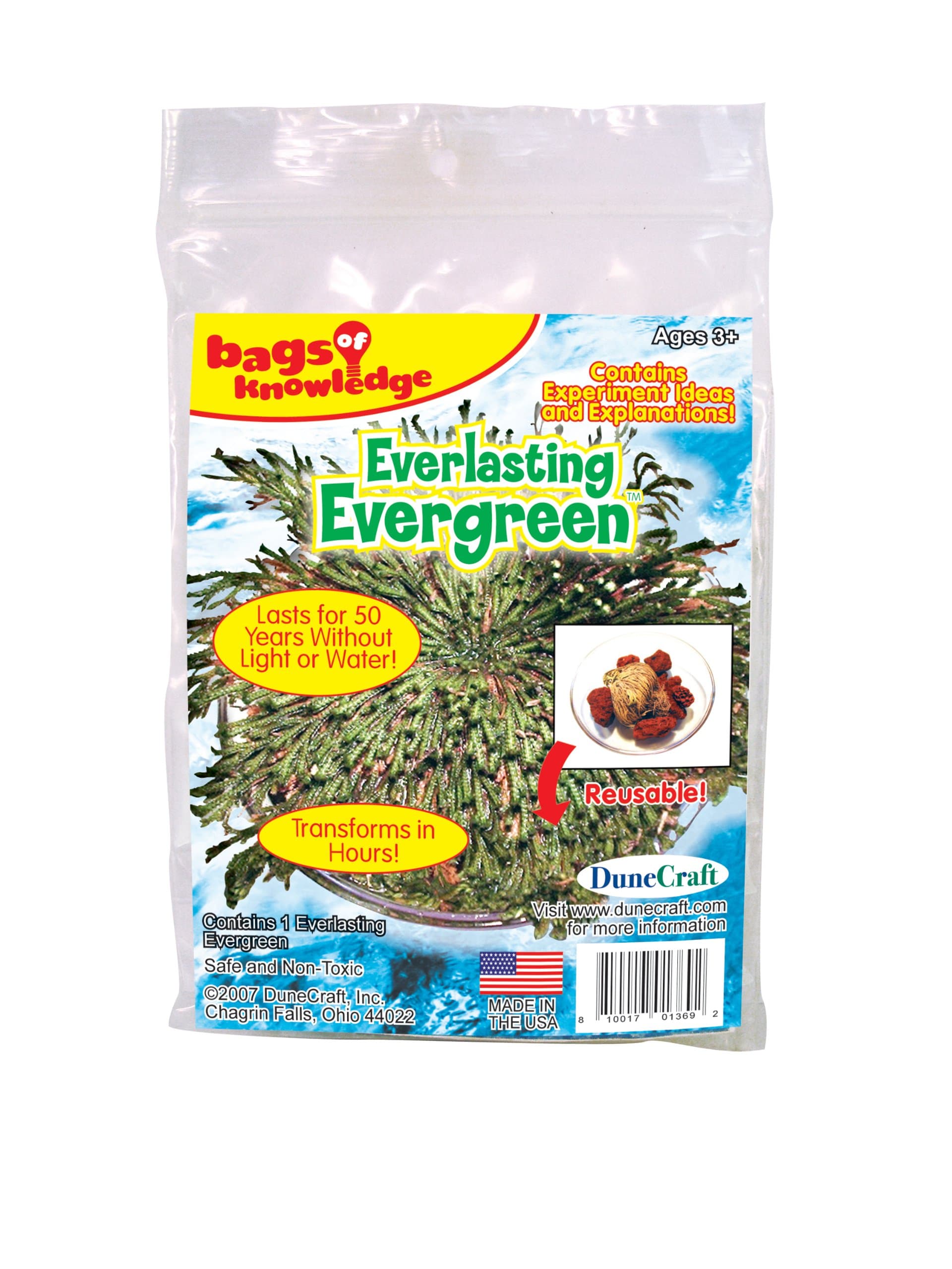 DunecraftEverlasting Evergreen Science Kit, Red, Yellow or Blue Tablet