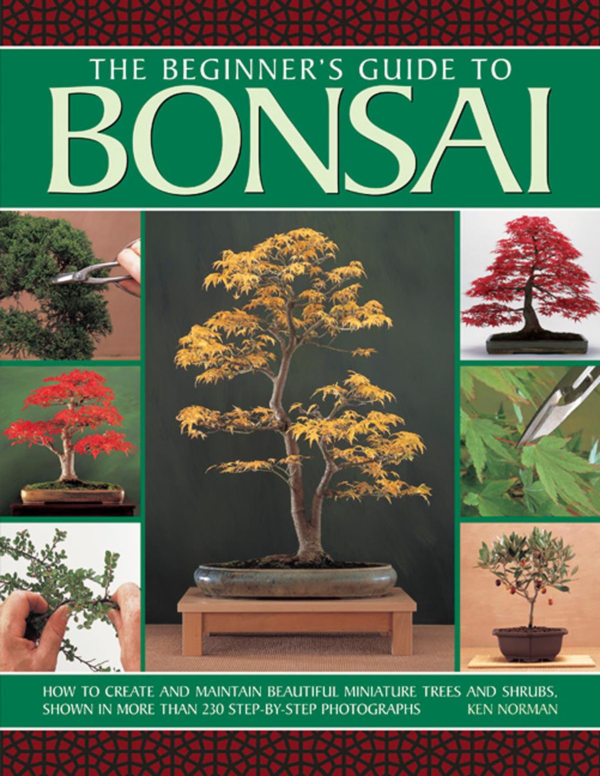 The Beginner's Guide to Bonsai: How To Create And Maintain Beautiful Miniature Trees And Shrubs, Shown In More Than 230 Step-By-Step Photographs Paperback – September 7, 2014