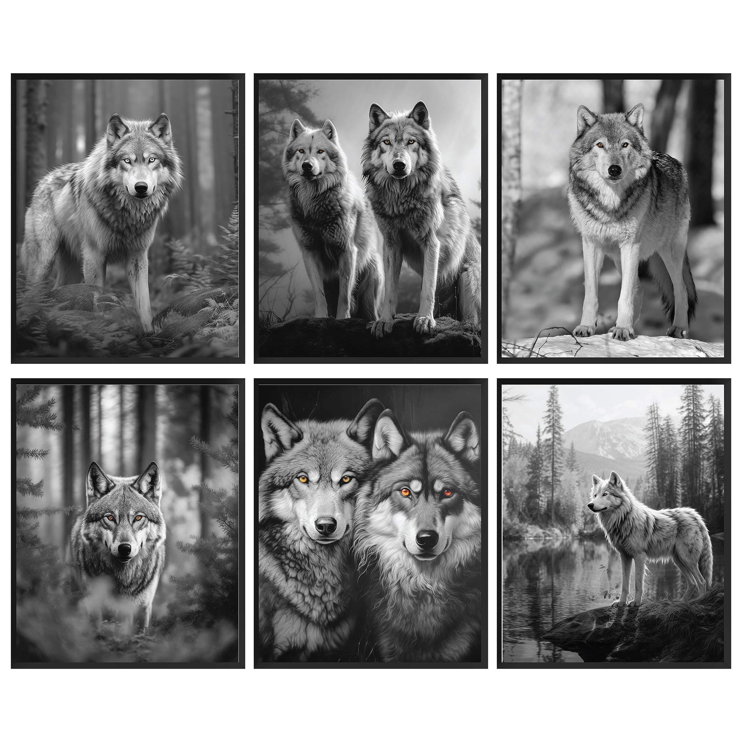 97 Decor Black Wolf Decor - Wolf Poster Prints Wall Art, White Wolves Pictures for Home Bedroom, Grey Wolves Photo Wildlife Animal Posters for Boys Room (8x10 UNFRAMED)