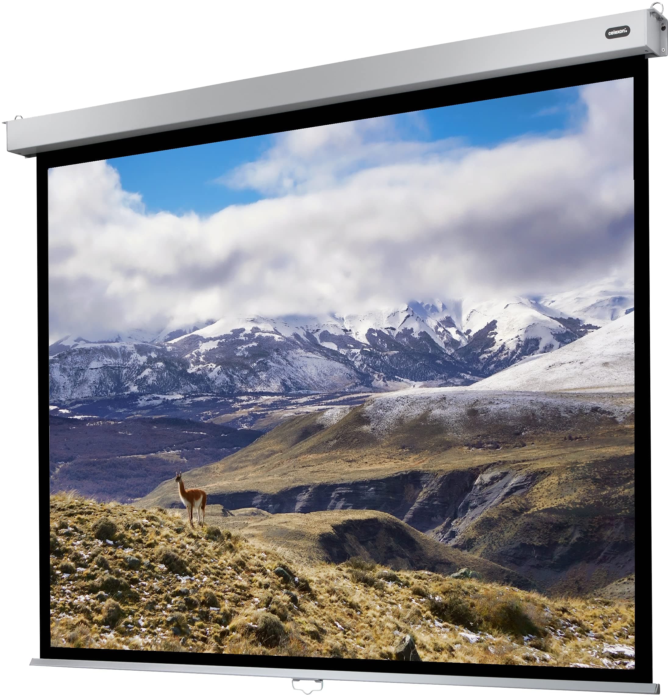celexon Professional Plus Manual screen 110" | 220x165 cm 4:3 | Manually extendable 4K, full HD projector screen for office presentations & home cinema projections | wall & ceiling mounting