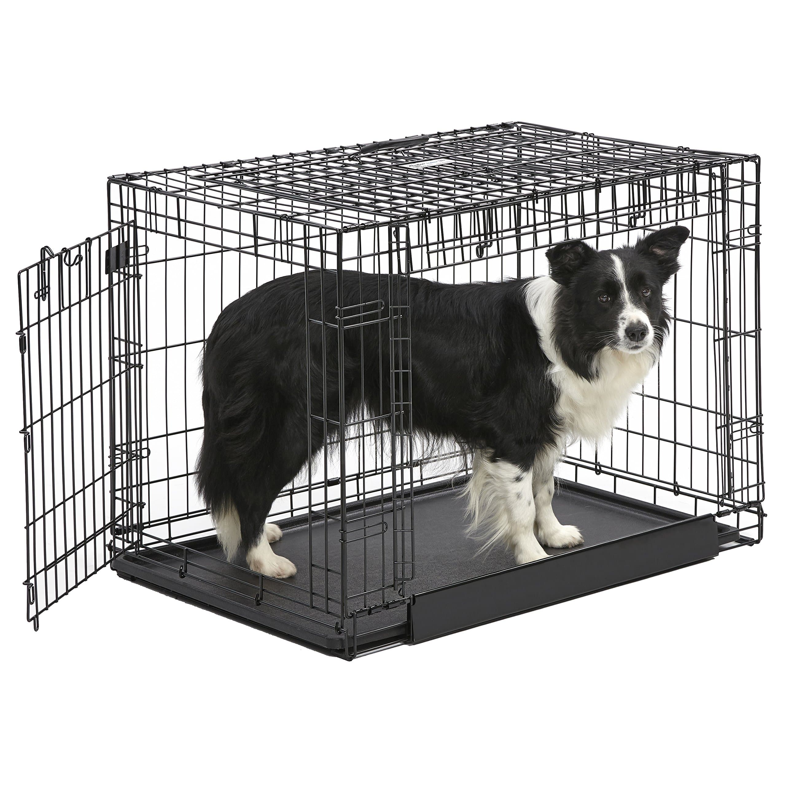 Intermediate Ovation Double Door 91 cm Folding Metal Dog Crate, Front and Up & Away Side Doors, Space-Saving Design