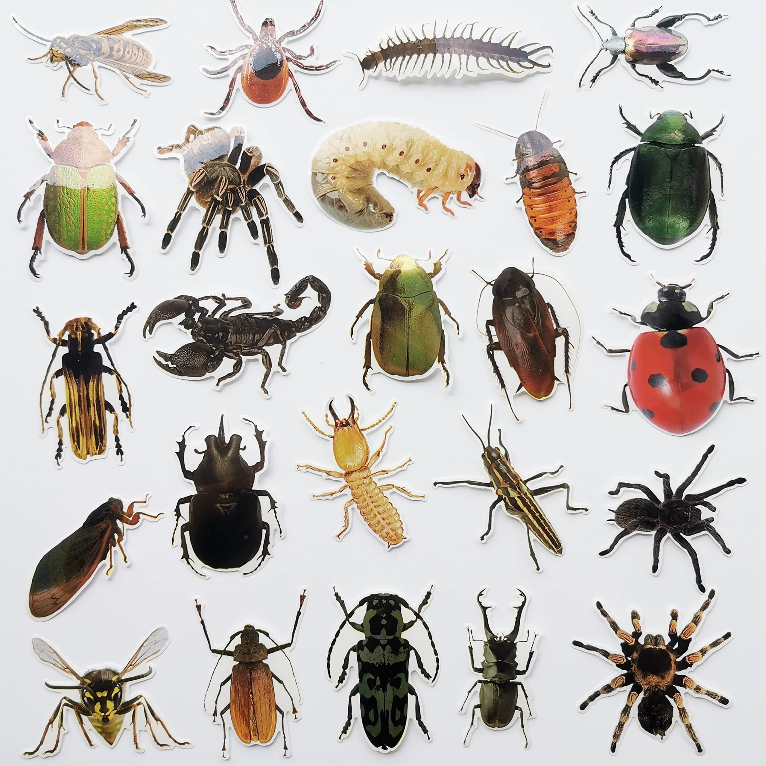 Bug Stickers Insect Decal Cockroach Grasshopper Beetle Cricket Mosquito Fly Bee Spider Decals for Window Clear Stickers