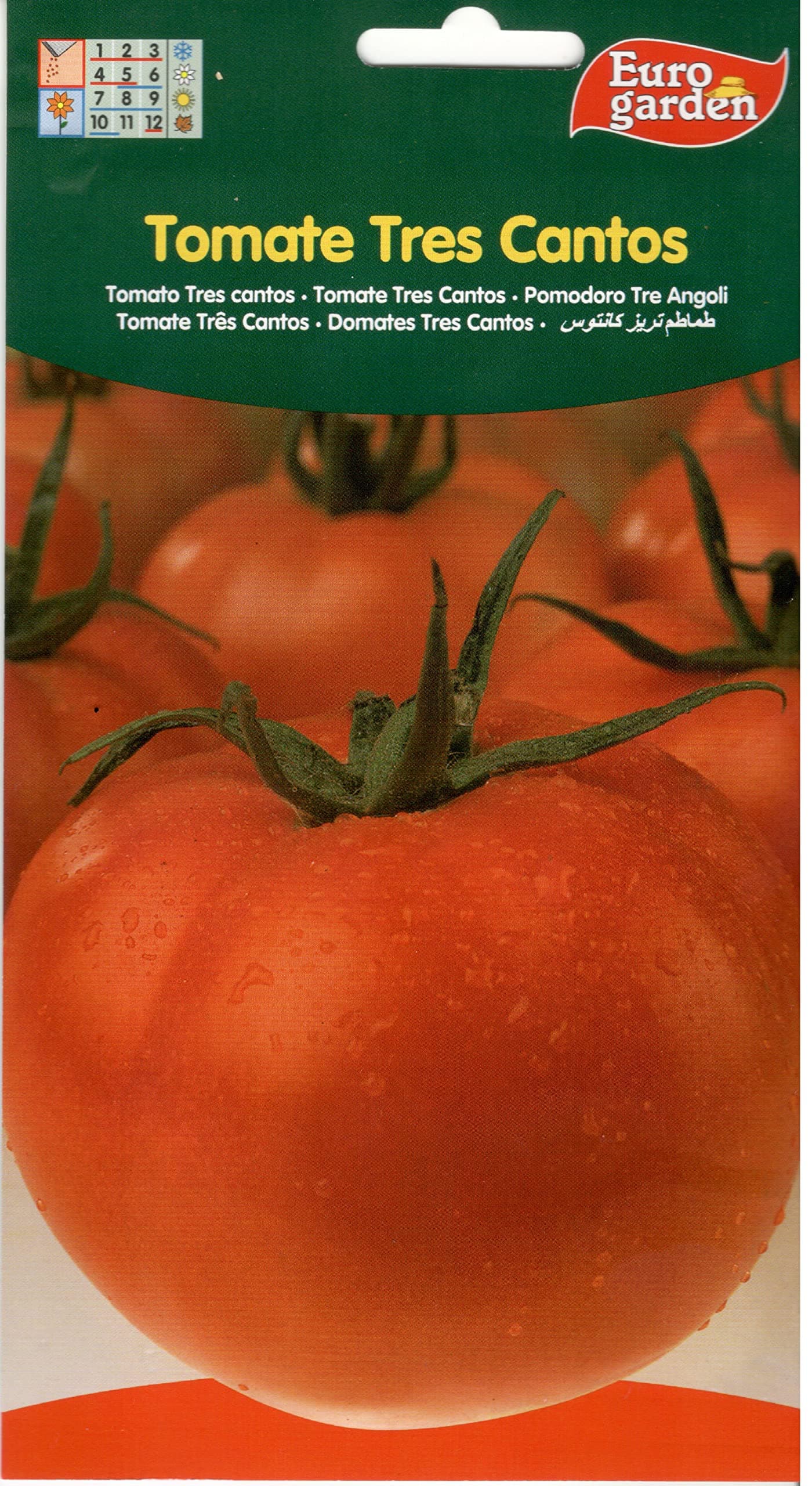 Euro Garden Tomato Big